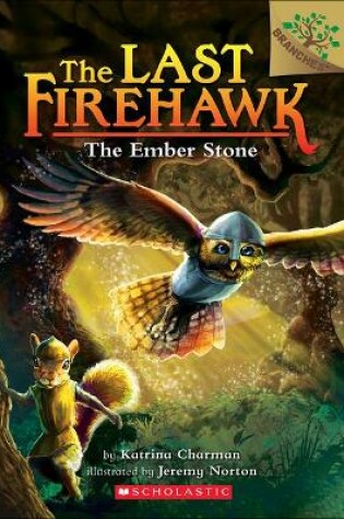 Cover of Ember Stone