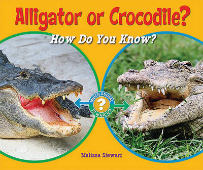 Book cover for Alligator or Crocodile?