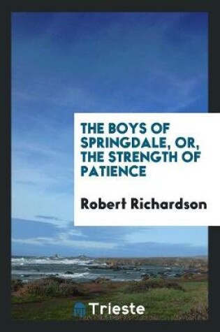 Cover of The Boys of Springdale, Or, the Strength of Patience