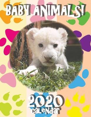 Book cover for Baby Animals! 2020 Calendar