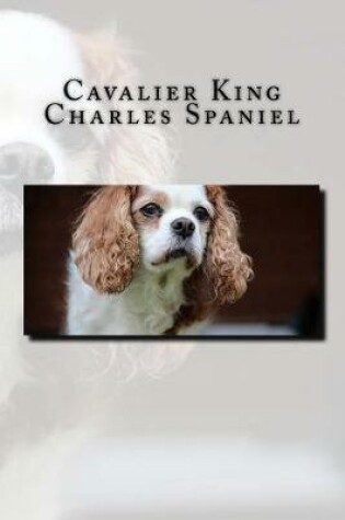 Cover of Cavalier King Charles Spaniel