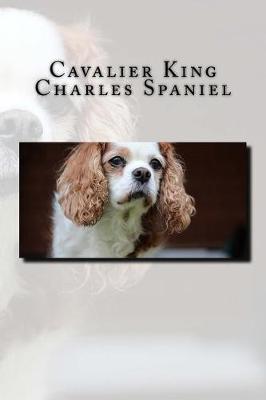 Book cover for Cavalier King Charles Spaniel