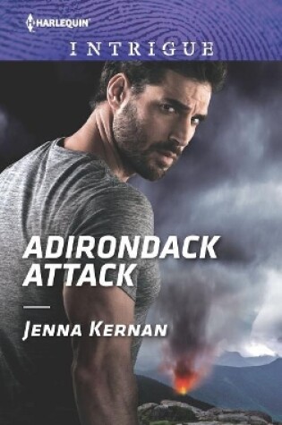 Cover of Adirondack Attack