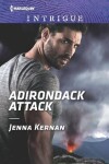 Book cover for Adirondack Attack