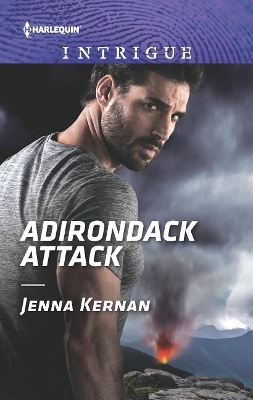 Book cover for Adirondack Attack