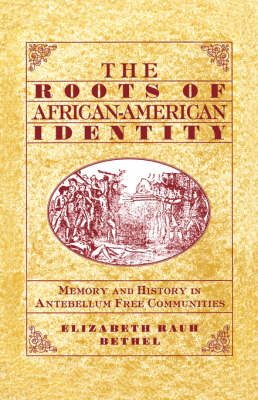 Book cover for The Roots of African-American Identity