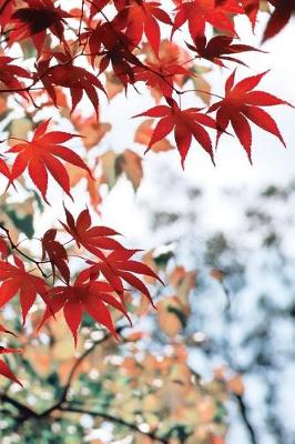 Cover of Asian Maple Leaf Grid Notebook