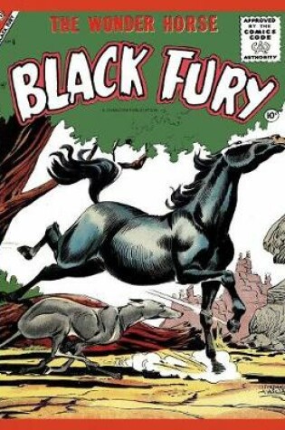 Cover of Black Fury # 6