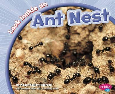 Cover of Look Inside an Ant Nest