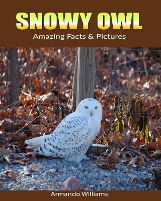 Book cover for Snowy Owl