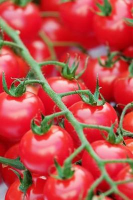 Book cover for Yummy Ripe Red Tomatoes on the Vine Journal