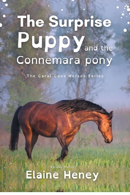 Cover of The Surprise Puppy and the Connemara Pony - Dyslexia Friendly