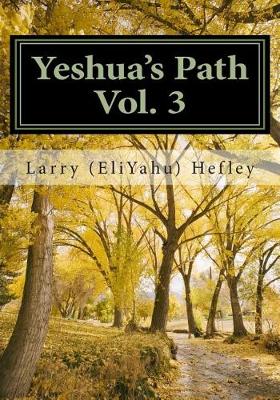 Book cover for Yeshua's Path, Vol. 3