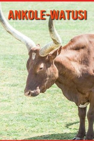 Cover of Ankole-Watusi