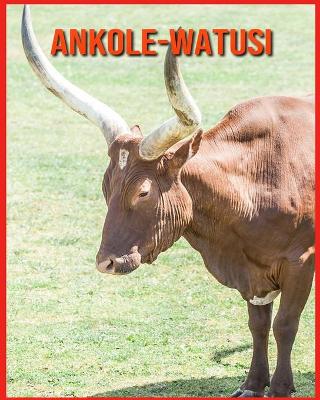 Book cover for Ankole-Watusi