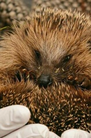 Cover of Holding a Cute Hedgehog Journal