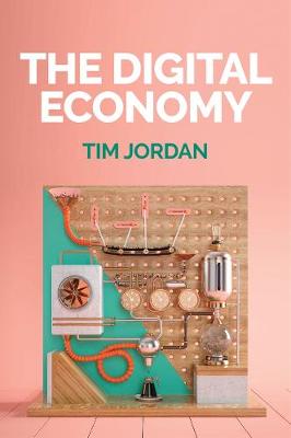 Book cover for The Digital Economy