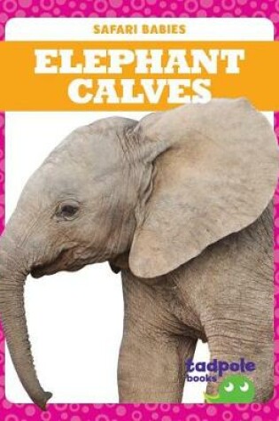 Cover of Elephant Calves