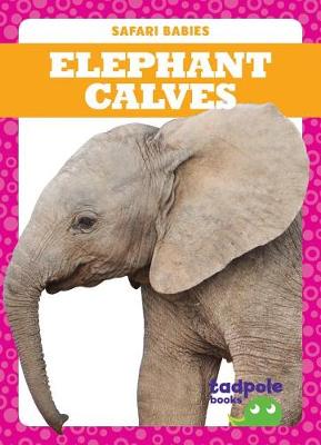Book cover for Elephant Calves