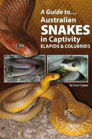 Cover of Australian Snakes In Captivity