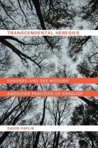 Cover of Transcendental Heresies