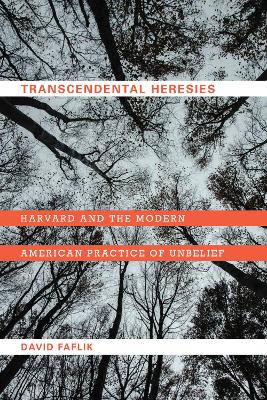 Book cover for Transcendental Heresies