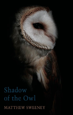 Book cover for Shadow of the Owl