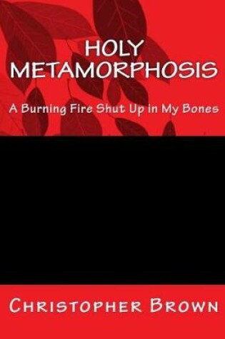 Cover of Holy Metamorphosis