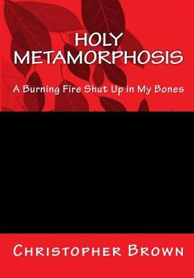 Book cover for Holy Metamorphosis