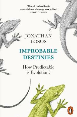 Cover of Improbable Destinies