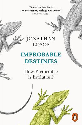 Book cover for Improbable Destinies