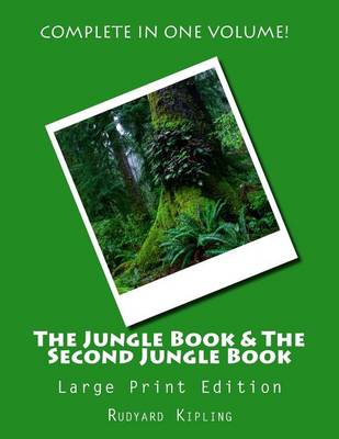 Book cover for The Jungle Book & The Second Jungle Book - Large Print Edition