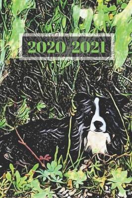 Book cover for Black and White Australian Sheep Dog Dated Calendar Planner 2 years To-Do Lists, Tasks, Notes Appointments