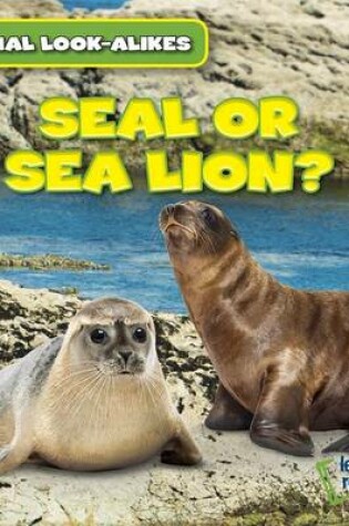 Cover of Seal or Sea Lion?