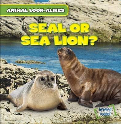 Book cover for Seal or Sea Lion?