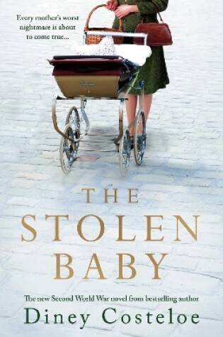 Cover of The Stolen Baby