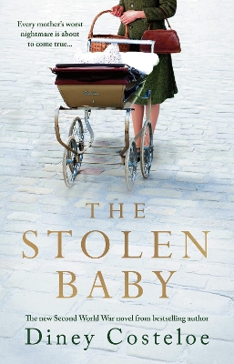 Book cover for The Stolen Baby