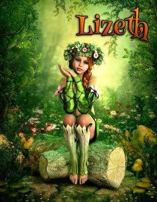 Book cover for Lizeth