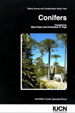 Cover of Conifers