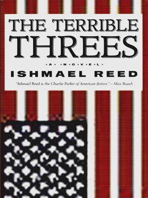 Book cover for The Terrible Threes