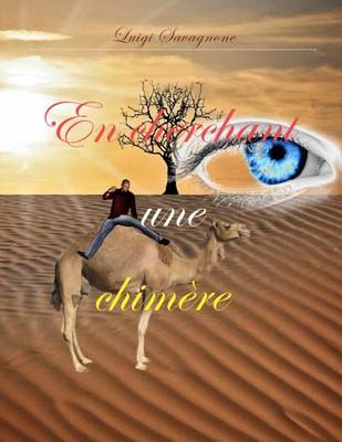 Book cover for En cherchant une chimere