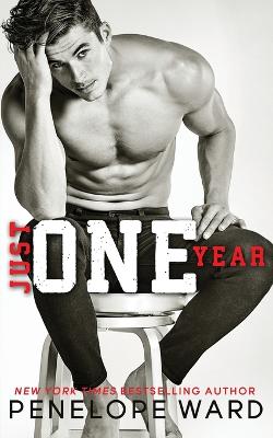 Book cover for Just One Year