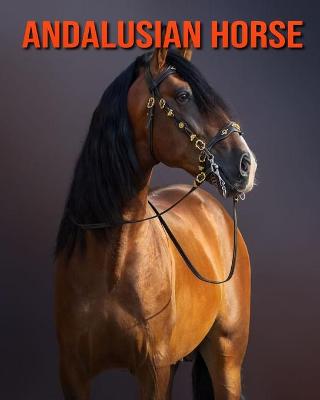 Book cover for Andalusian Horse