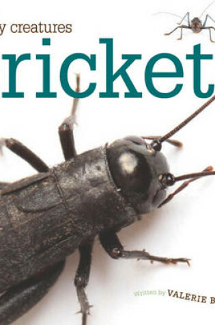 Cover of Crickets