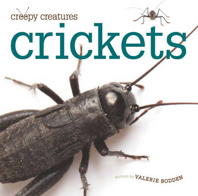 Book cover for Crickets
