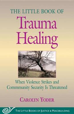 Book cover for Little Book of Trauma Healing
