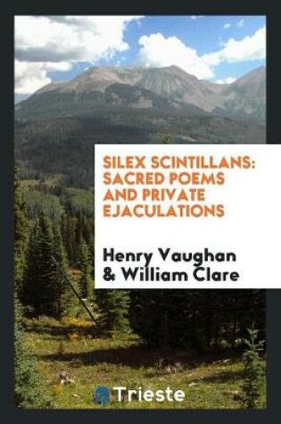 Cover of Silex Scintillans