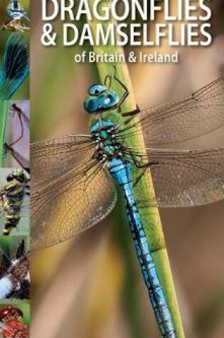 Cover of A Beginner's Guide to Dragonflies & Damselflies of Britain & Ireland