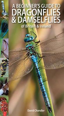 Book cover for A Beginner's Guide to Dragonflies & Damselflies of Britain & Ireland