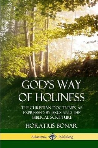 Cover of God's Way of Holiness: The Christian Doctrines, as Expressed by Jesus and the Biblical Scripture (Hardcover)